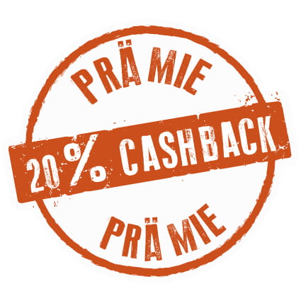 20 % Cashback Prämie Akku